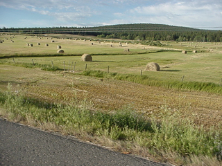 Scenic rolling farmland, Monet would have dug this...