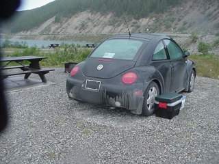 The morning on Summit Lake, the beetle looking not so shiny.