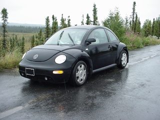 The beetle taking a break