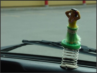The return of Hula Gal