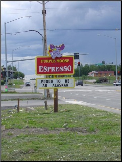 An Alaskan moose pick-me-up