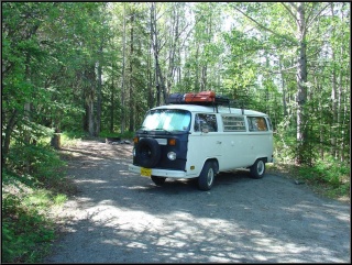 Morning in Porcupine Creek Campground