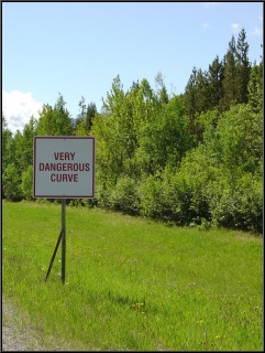 We appreciate the distinction between this and the normal dangerous curve