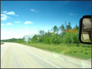 Bugs and cracks, not really the Alcan without them