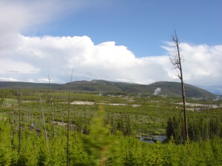 The Norris Geyser Basin around Norris Campground