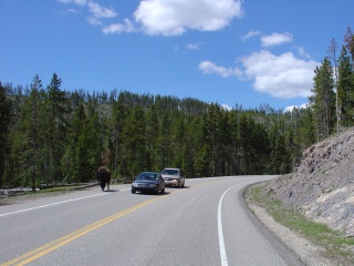 They act like they own the road