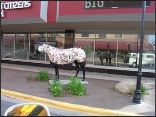 Part of the Billings Horse Parade
