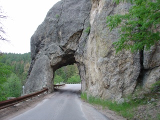 A bus sized tunnel on the Needles Highway