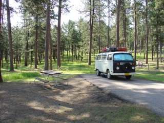 Morning at Blue Bell campground, Custer State Park