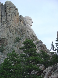 Washington profile