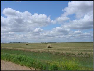 Hay bales on the southern section of the Sage Creek Rim road