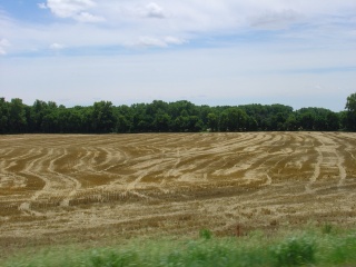 Fallow field