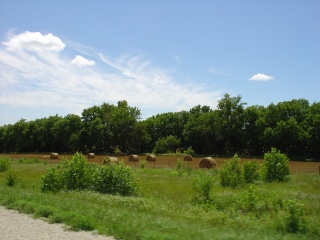 Hay bales