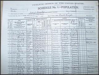 The 1900 Barton County census, with Brian's great great grandmother and great grand father