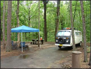 Morning in Petit Jean State Park