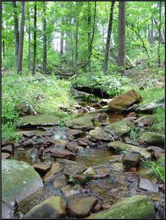 Babbling brook