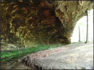 Undercut holler wall