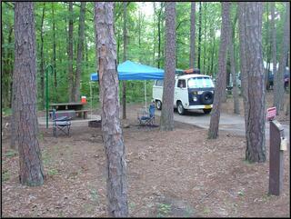 Our last morning in Petit Jean State Park