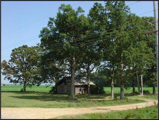 Old cabin