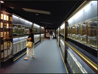 The hall of (gold and platinum) records
