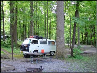 Morning in the Great Smoky Mountains