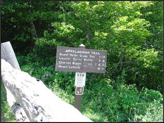 A sign for the Appalachian Trial on top of Newfound Gap