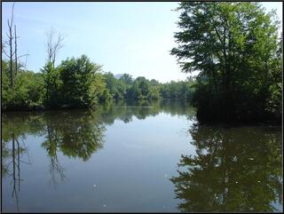 Our lake