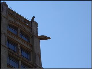 Nifty gargoyle