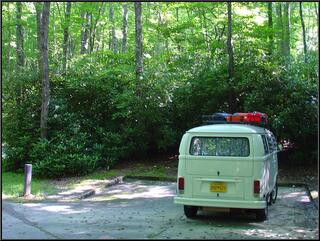 Morning in the Julian Price Campground, just outside of Blowing Rock