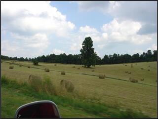 Well rolled hay bales