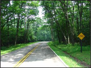 Skyline road shot