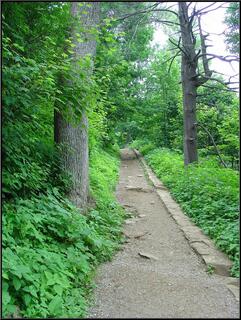 Shenandoah trail