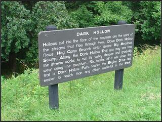 One last walk in a holler