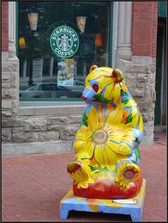 It's Pandamonium in D.C.