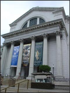 The Smithsonian Museum of Natural History
