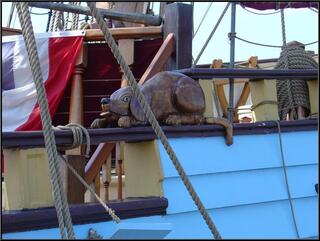 A Tall Ship pet