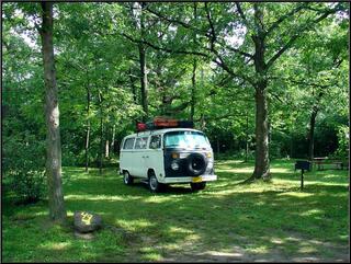 Morning in the woods outside of Toledo