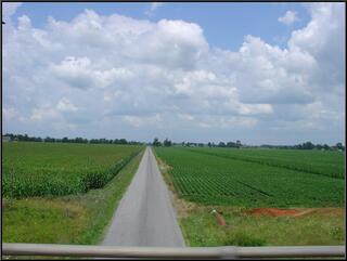 Pretty countryside