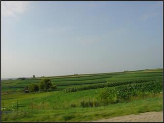 Corny roadside shot