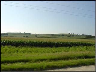Terraced corn fields