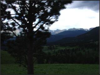 The tree jumped in the way of a nice shot of Rocky Mountain National Park