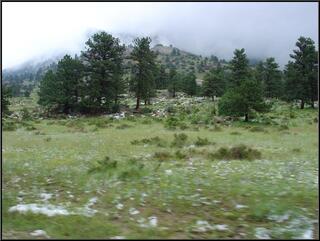 Snow, Theresa swears it wasn't there this morning