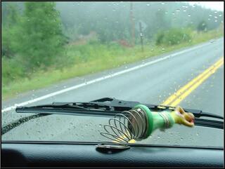 Hula Gal action photo