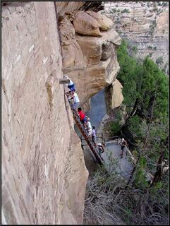 The ladder up to our first cliff dwelling, Balcony House