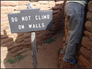 Alright, in fairness, it was a step to look over the wall. Be nice, she's testy about this one.