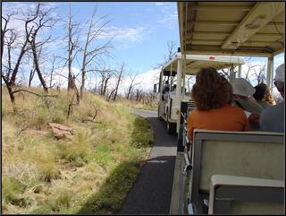The ''tram'' to scenic photo opportunities