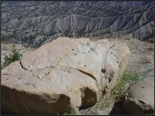 Ancient shrimp burrows in a rock that used to be at the bottom of the shallow sea