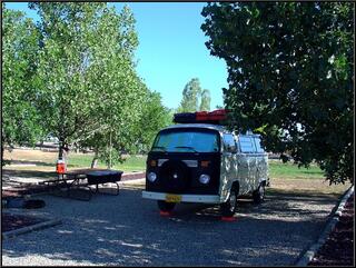 A nice shady morning in Cortez