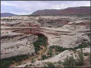...and Kachina Bridge