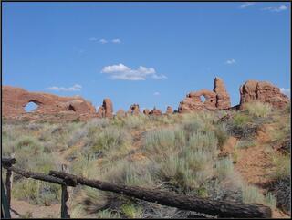 The Window Arches